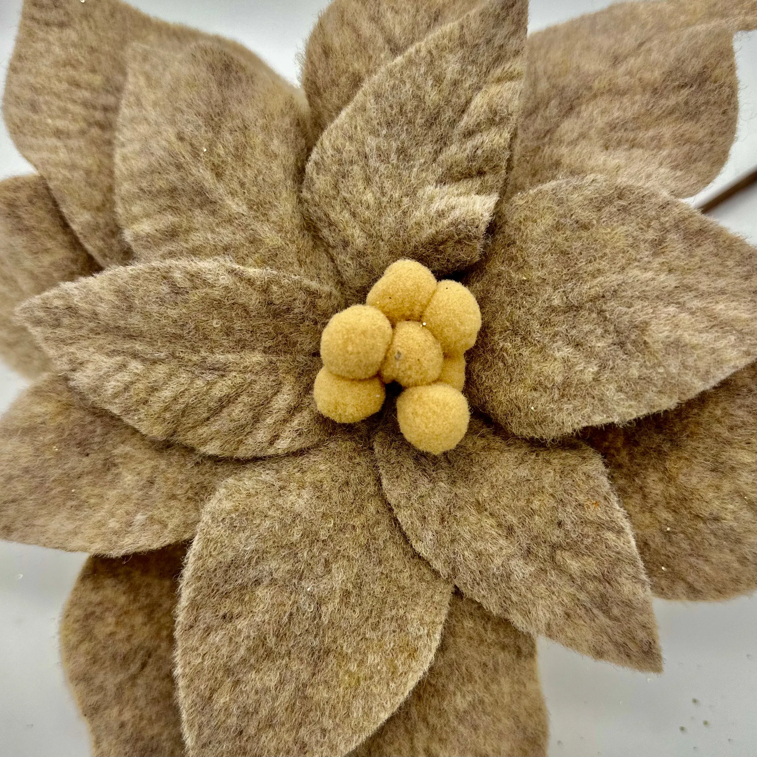 24" Brown Poinsettia with Felt Center Stem