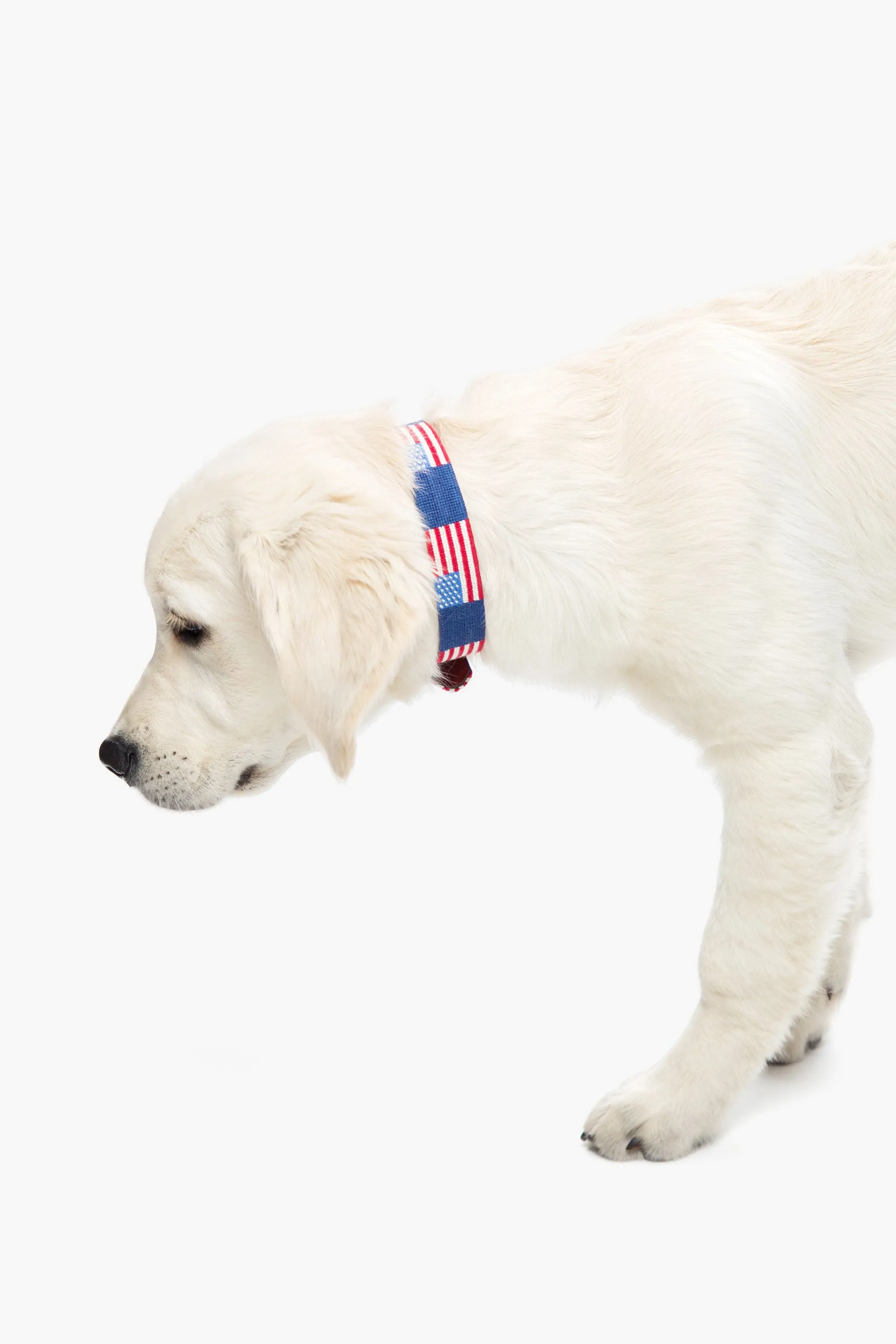 American Flag Needlepoint Dog Collar