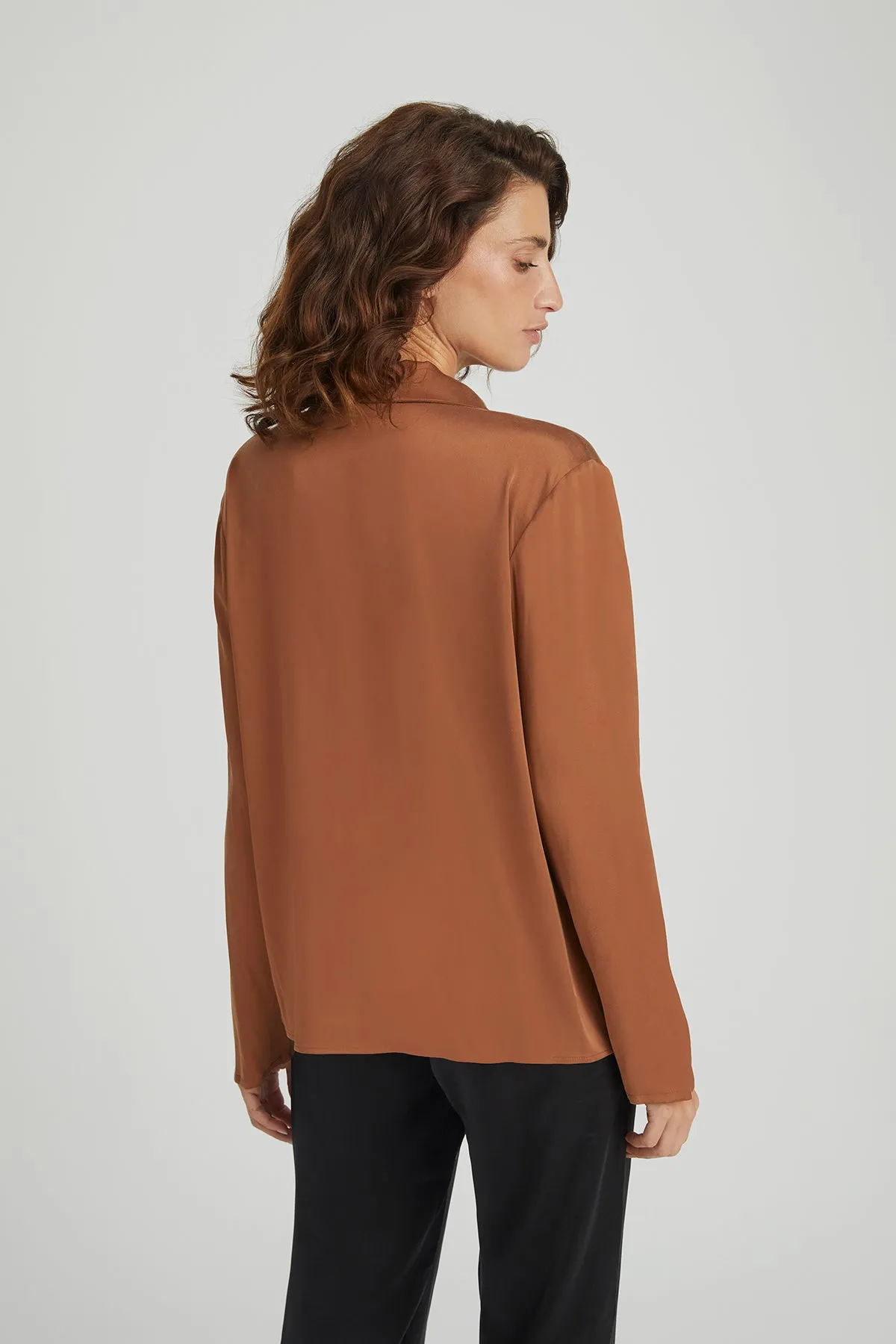 Astrid Sky Pure Silk Shirt in Brown