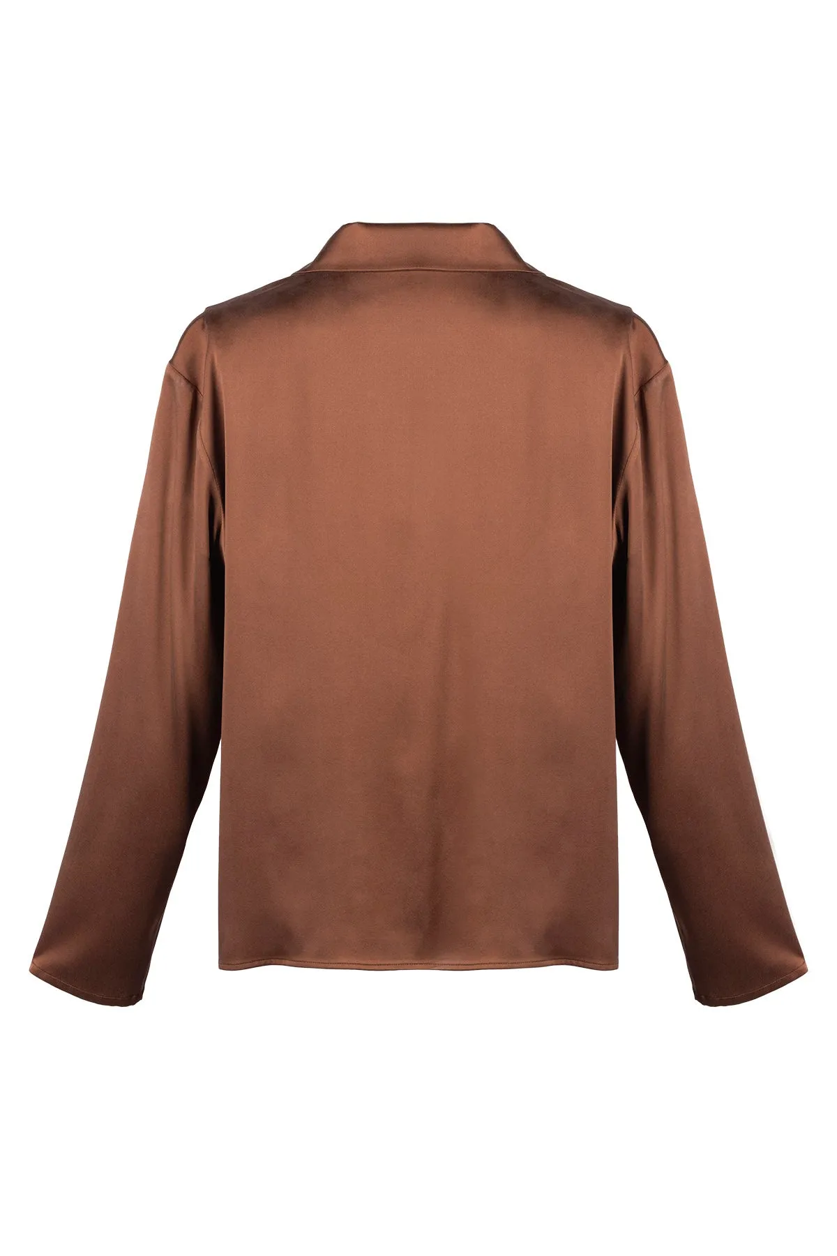 Astrid Sky Pure Silk Shirt in Brown