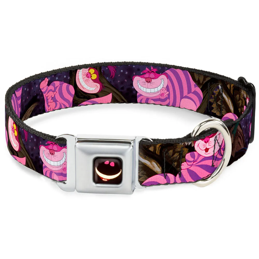 Cheshire Cat Eyes Smile Full Color Seatbelt Buckle Collar - Cheshire Cat Tree Poses by Buckle-Down