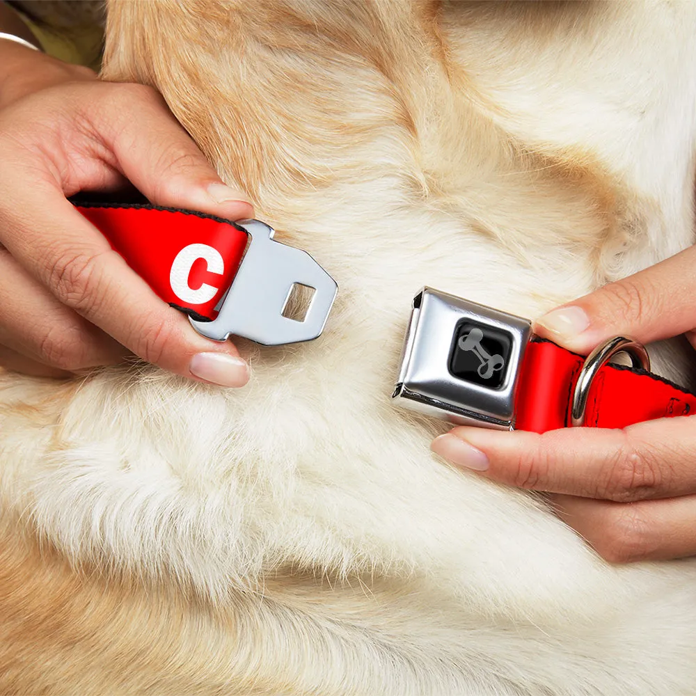 Dog Bone Black/Silver Seatbelt Buckle Collar - Pet Quote CAUTION Red/White by Buckle-Down