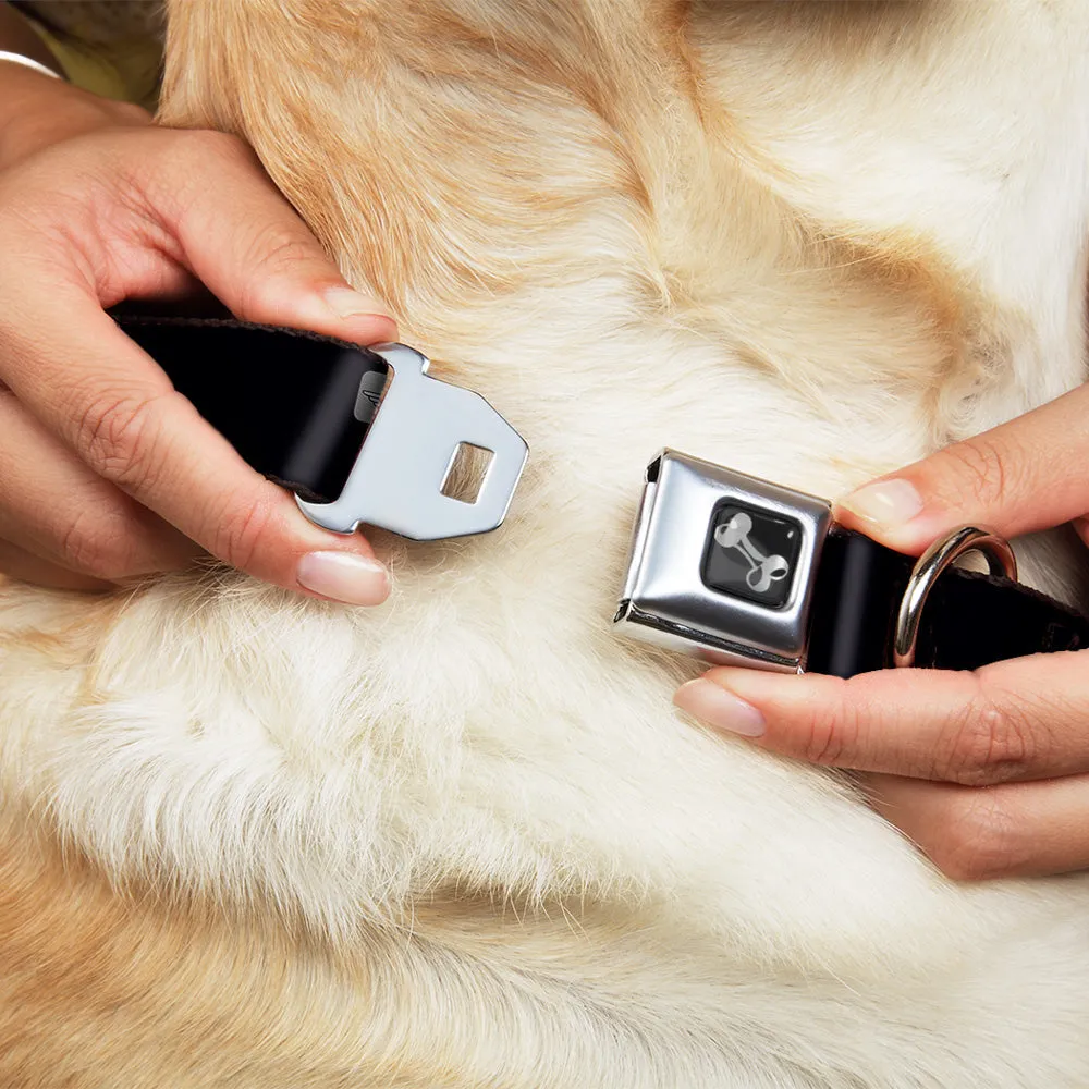 Dog Bone Seatbelt Buckle Collar - CAUTION WATCH YOUR DUBSTEP Black/Yellow by Buckle-Down