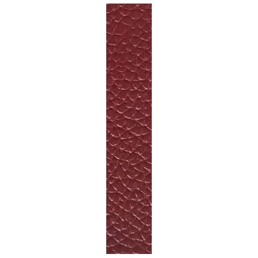 Tank Solo Large Red Calfskin Strap